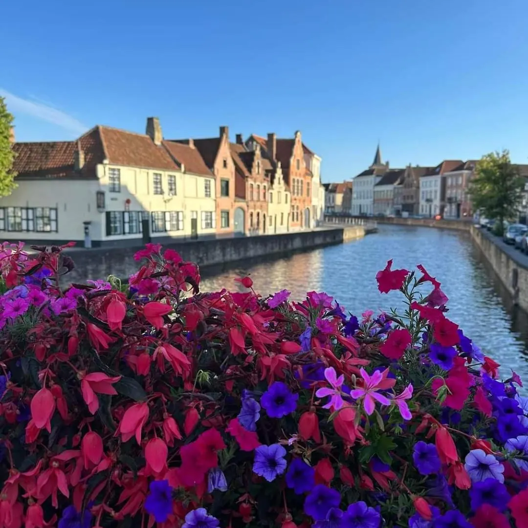 Bruges In Lace Belgium