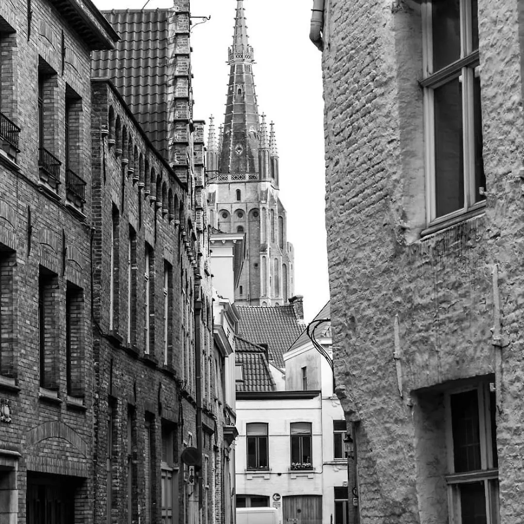 Bruges In Lace