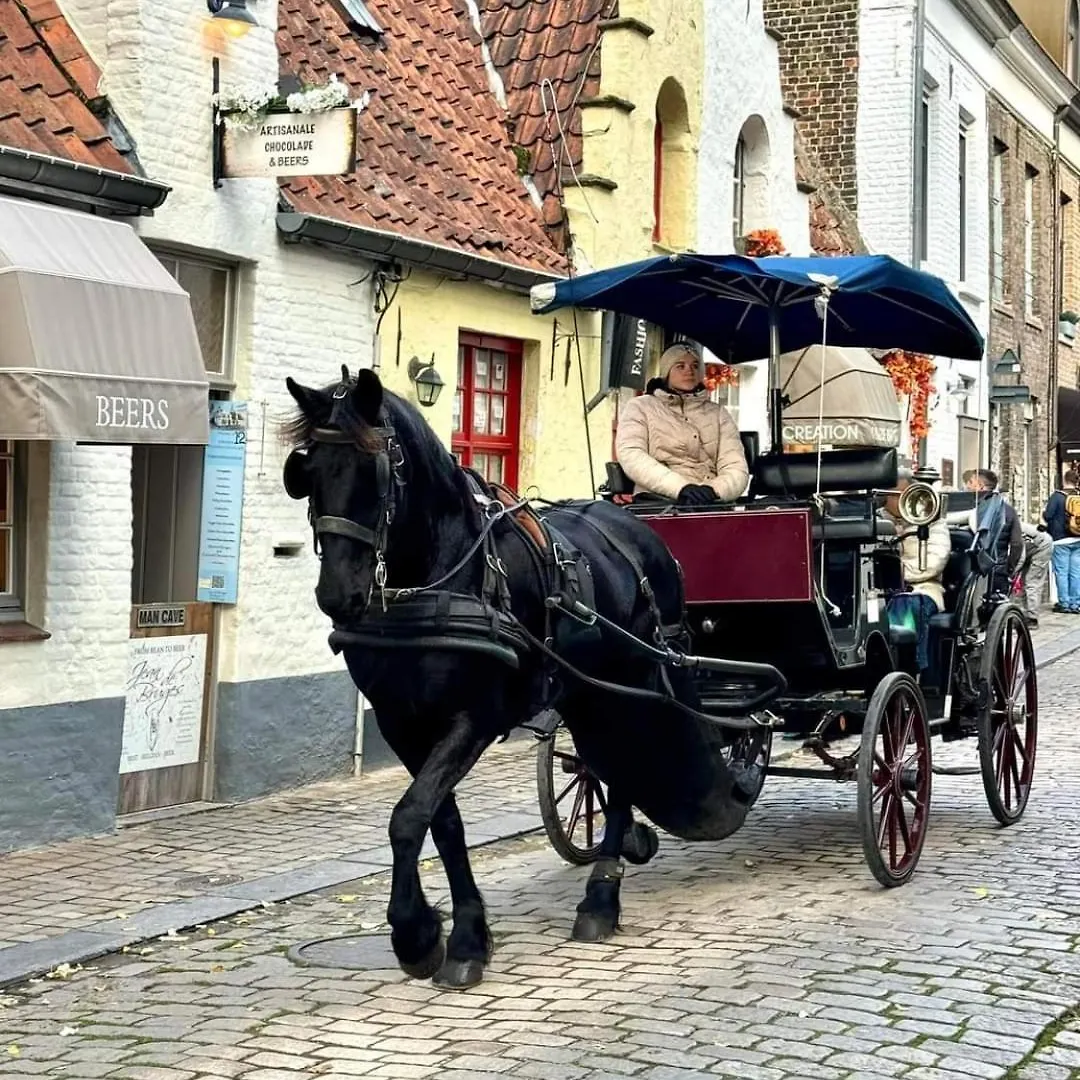 Bruges In Lace